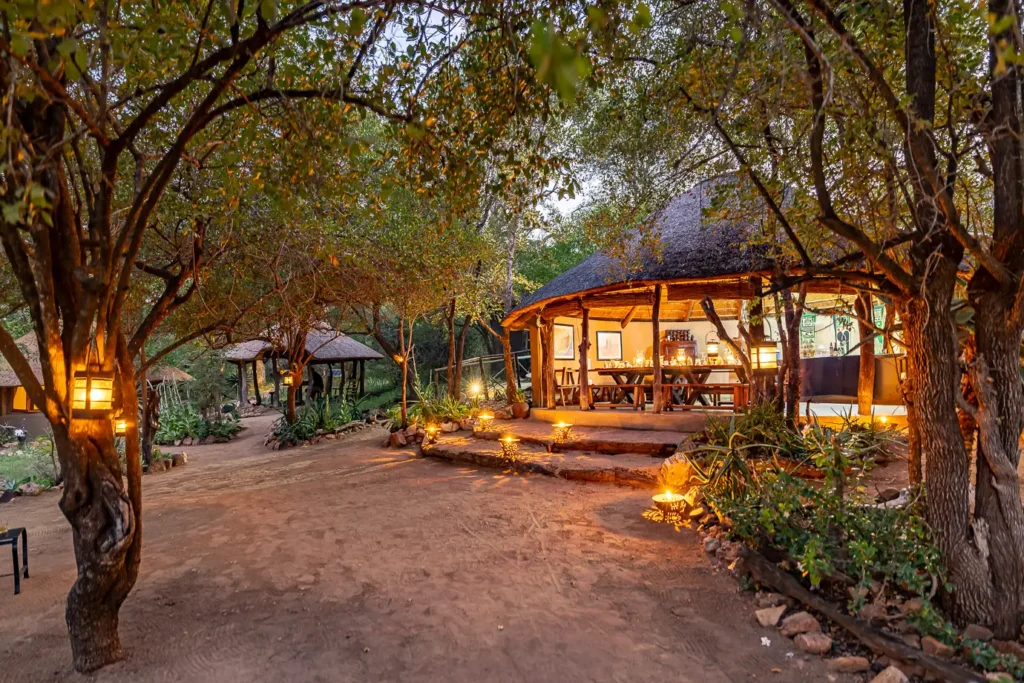 Umlani Bush Camp - Timbavati Game Reserve