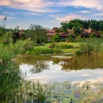 White River Country Estate