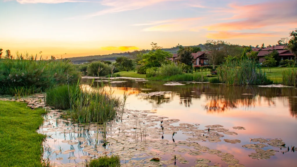 White River Country Estate