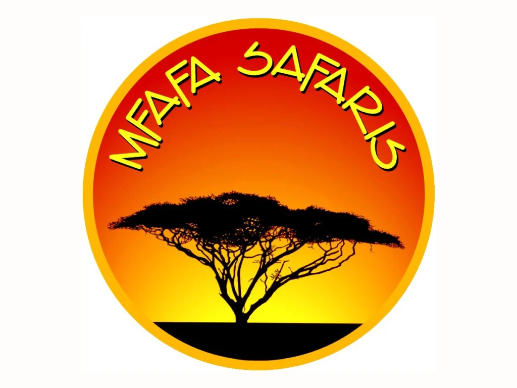 Mfafa Safaris